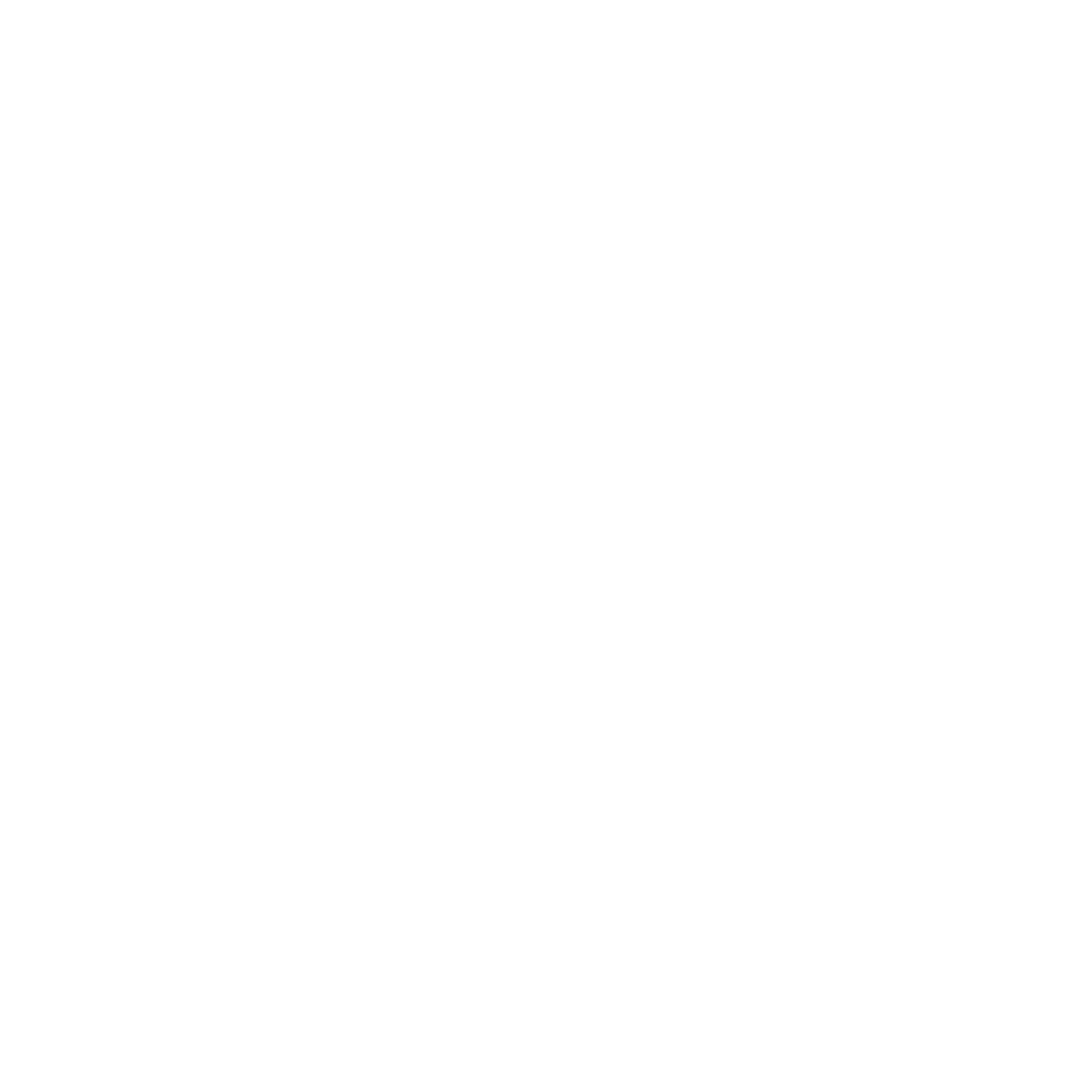 VPT Logo